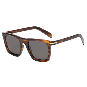 Lundun - Unisex Sunglasses Stripe Brown Smoke L9891