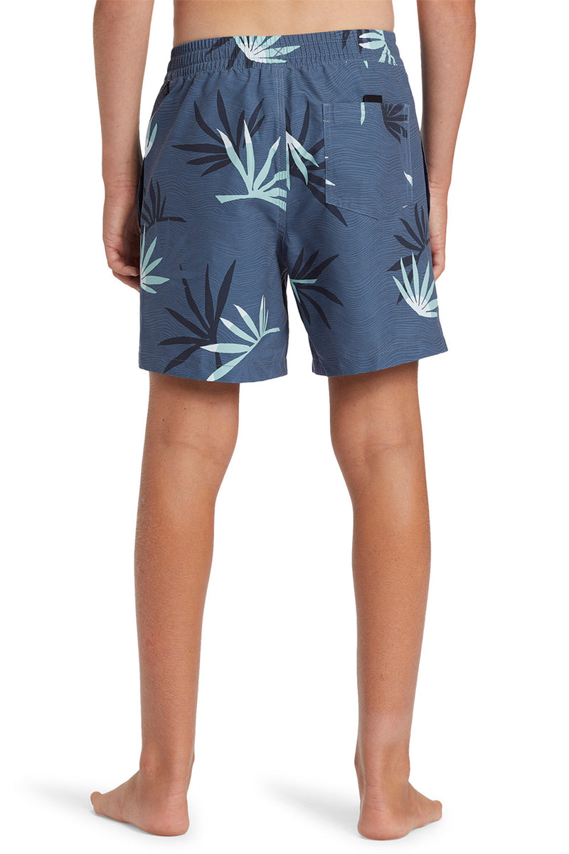 Quiksilver - Everyday Mix Volley Shorts 14" Boys