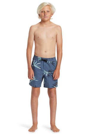 Quiksilver - Everyday Mix Volley Shorts 14" Boys