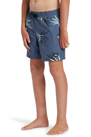 Quiksilver - Everyday Mix Volley Shorts 14" Boys